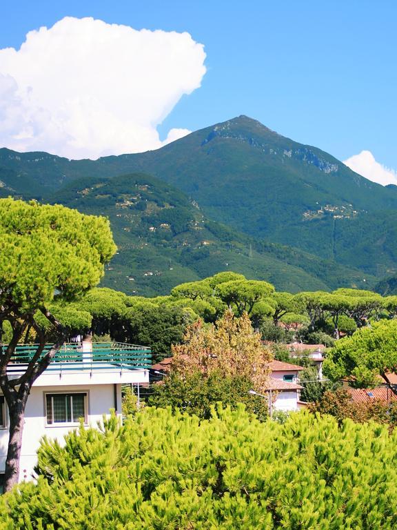 Hotel La Pigna Marina di Pietrasanta Extérieur photo